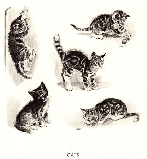 1940s Antique Tabby Cat Art Print Vintage Kitten Illustration Etsy
