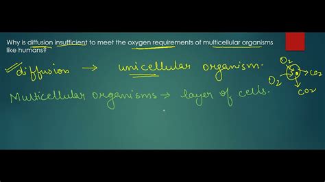 Class X Life Processes Why Is Diffusion Insufficient To Meet The