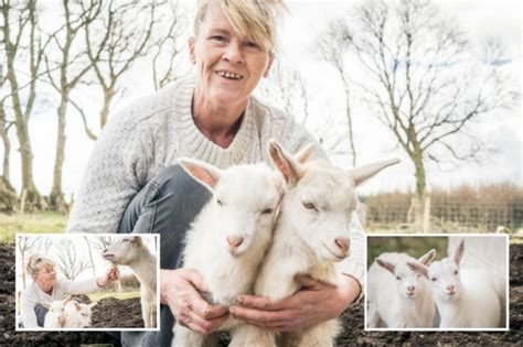 Mayo Nanny Goat Gives Birth To Rare Twin Sheep Goat Hybrid Geeps