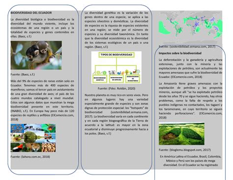 Biodiversidad DEL Ecuador Triptico BIODIVERSIDAD DEL ECUADOR La