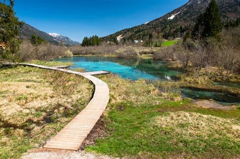 Müsst ihr euch von eurem adrenalintrip erholen. See Zelenci, Quelle Sava Dolinka Rivers, In Slowenien ...