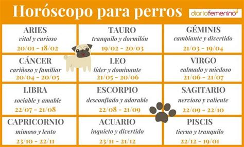 horóscopo para perros ¿cómo es tu mascota según su signo del zodiaco perros horoscopos