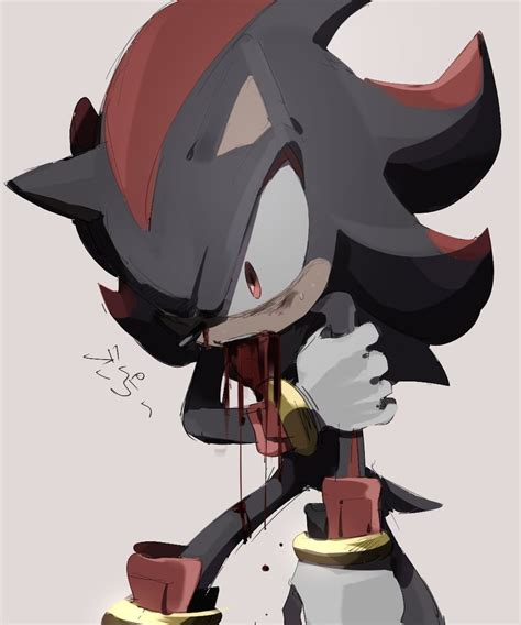 Pin By Molly Tenace On Hedgehogs Forever Sonic And Shadow Shadow The