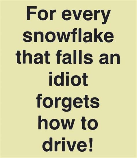 29 Funny Snow Quotes Ideas Funny Snow Quotes Bones Funny