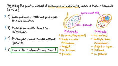 Question Video Distinguishing Prokaryotic And Eukaryotic Genetic