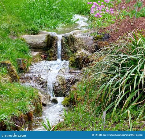 Idyllic Little Stream With Waterfall And Grass On The Shore Stock Image