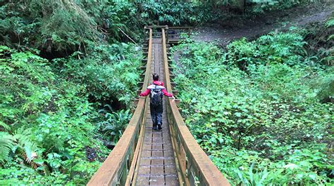Hiking The Oregon Coast Trail Back In Business