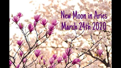 New Moon In Aries Astrology 24 March 2020 Strength Self Control And