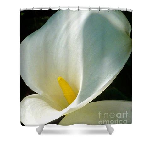 Calla Lily Elegance Shower Curtain For Sale By Susan Garren Curtains For Sale Calla Lily Lily