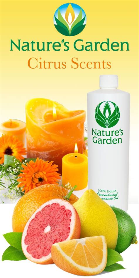 Citrus Fragrance Oils From World Famous Natures Garden These
