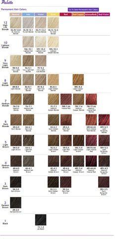 Hey y'all!i was starting to loathe my current hair color and a touch up was mandatory! ION COLOR BRILLIANCE CHART photo ...