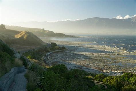 Wave Cut Bench New Zealand Geology Pics