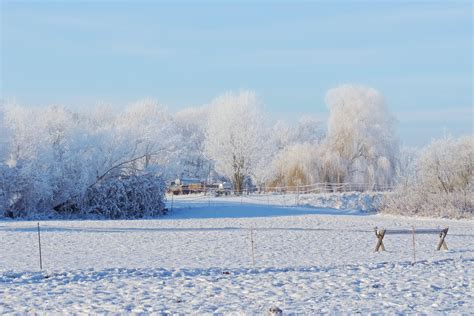 Free Images Landscape Snow Cold Morning Frost Ice Weather