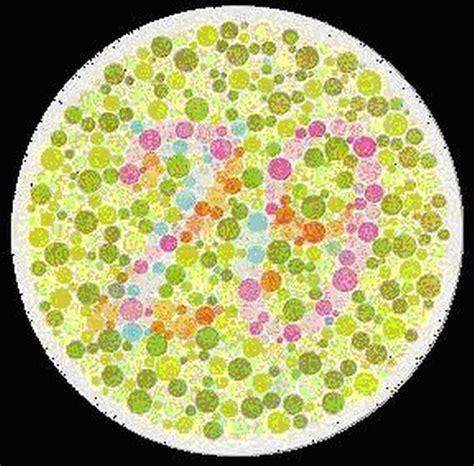 Color Blind Test Charts From Easy To Hard How Many Can You Pass