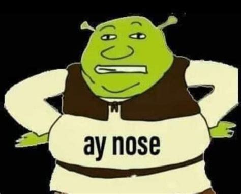 Memes Shrek Memes Estúpidos Cute Memes Stupid Funny Memes Best Memes
