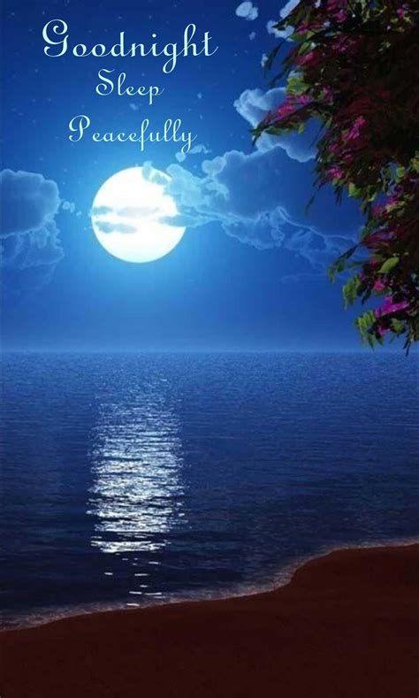 Good Night ⭐ ⭐ Sweet Dreams Beautiful Moon Beautiful World Beautiful