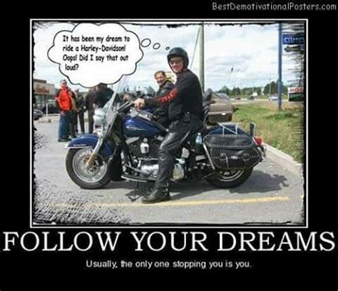See more ideas about harley davidson, harley, biker quotes. Pin by Anita White on Harley MeMes Toons & Biker Sayings ...