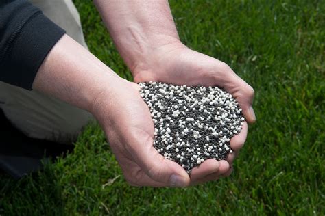 Maybe you would like to learn more about one of these? The Oasis Blog | Lawn and Tree Care Tips for Your ...