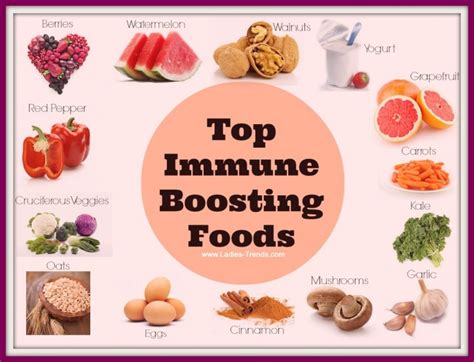 Foods that contain vitamin c, vitamin d, zinc and vitamin b12 are particularly beneficial for our immune system. Top Immune Boosting Foods