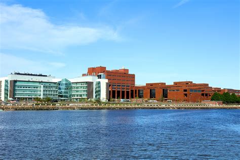 A Somerville Company Is Offering To Pay Students Tuition At Umass Boston