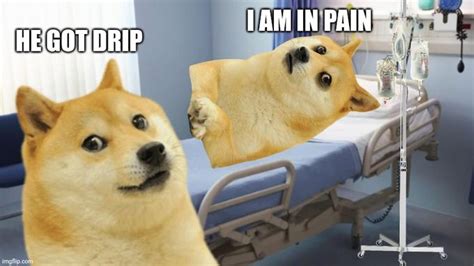 Le Drip Has Arrived Rdogelore Ironic Doge Memes Know Your Meme