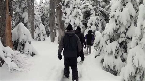 Snowshoeing At Hurricane Ridge In Olympic National Park January 2012