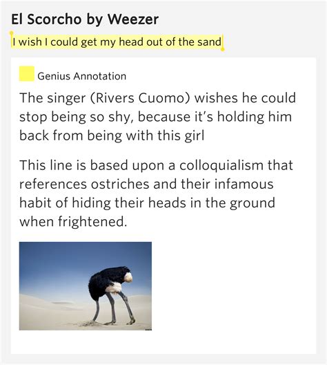 I Wish I Could Get My Head Out Of The Sand El Scorcho
