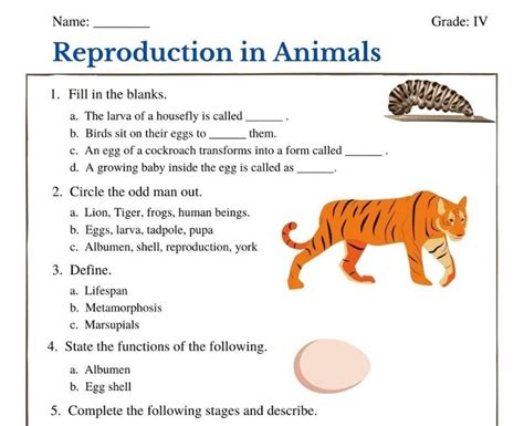 Top 145 Reproduction In Animals Questions And Answers