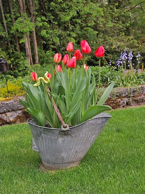 best 15 stunning summer planter ideas to beautify your home summer planter planters