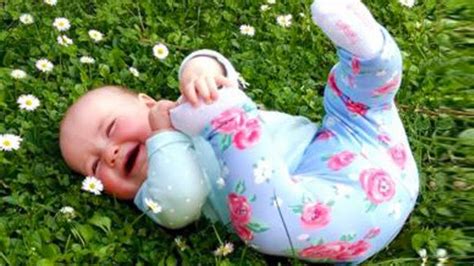 Maybe you would like to learn more about one of these? Try Not To Laugh: Funniest Babies Reaction To Grass | Funny Babies and Pets | Funny baby faces