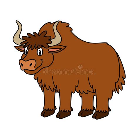 Yak Animal De Dibujos Animados Ilustración Para Educación Preescolar