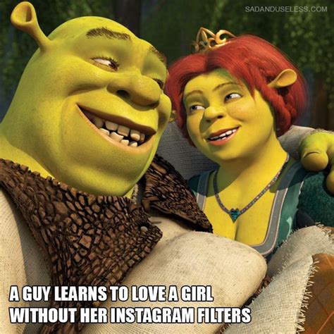 Movies Explained So Badly That It S Brilliant Princess Fiona Shrek