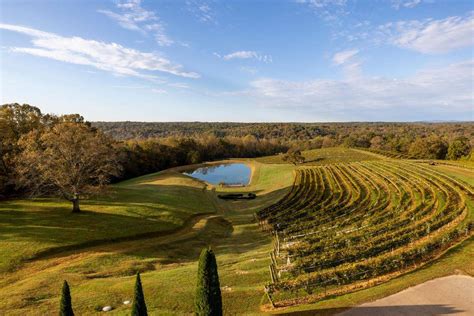 Spend A Romantic Weekend At These North Georgia Wineries Official