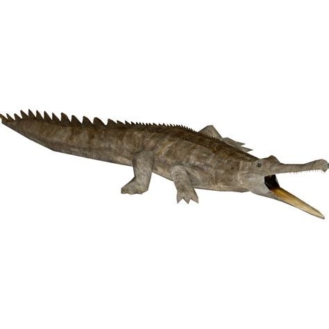 Sarcosuchus Bunyupy Zt2 Download Library Wiki Fandom