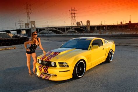 hot s197 mustang babe pictures hot s197 mustang babe photos mustang picture gallery