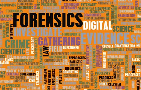 Computer forensic investigator job titles to look for. Computer Forensics Investigator - Lunesys