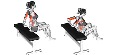 Seated Tricep Dips Muscles Worked Two Birds Home