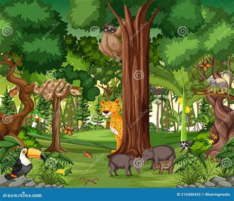 Rainforest Scene With Wild Animals Stock Vector Illustration Of