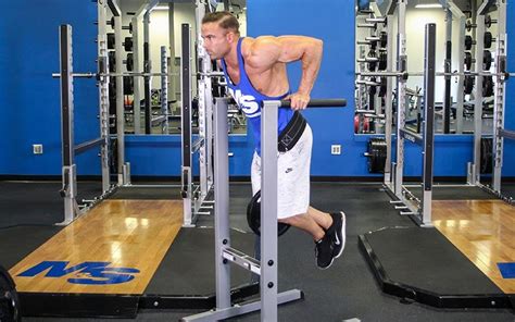 Weighted Tricep Dips Video Exercise Guide And Tips