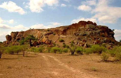 A Guide For Trekkers To Explore Mapungubwe National Park