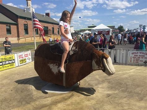 Mechanical Bull Ride At Nys Fair Offers 200 Challenge Photos Video