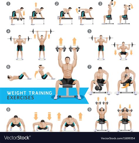 Besides that, choosing dumbbells over other equipment has various benefits: Dumbbell exercises and workouts weight training Vector Image
