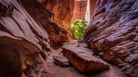 Best Slot Canyons In Southern Utah Recommended Hikes And Map