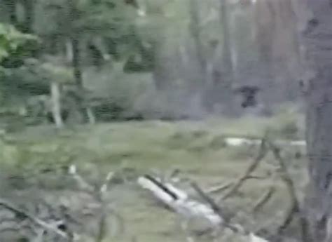 Bigfoot Sightings Reported In Small Texas Town — And Theres Video