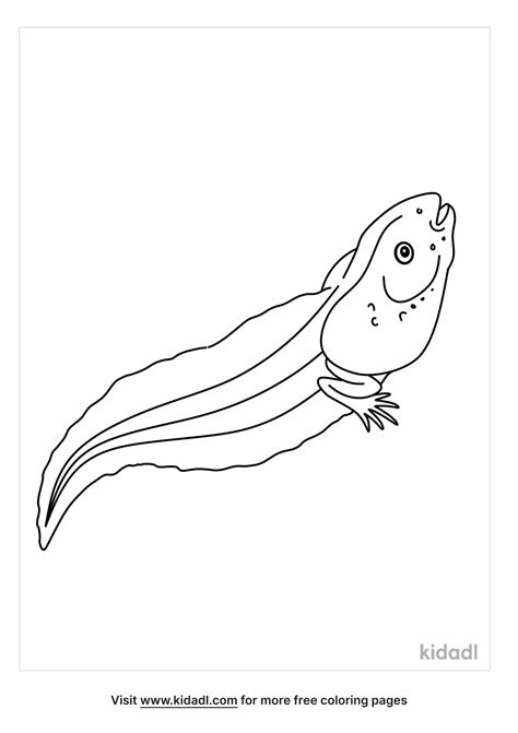 Free Tadpole With Backlegs Coloring Page Coloring Page Printables