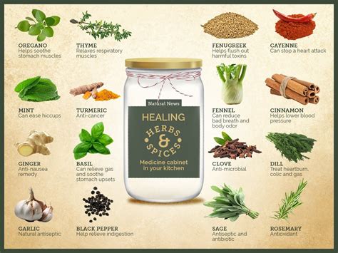 Pin by Christine Jensen on Herbs (With images) | Herbs, Healing herbs