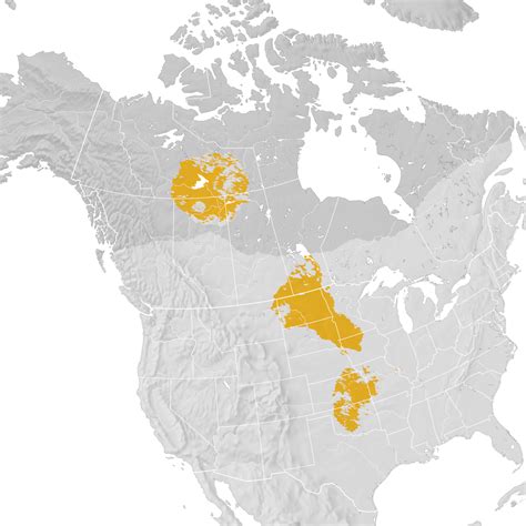 Smiths Longspur Range Map Post Breeding Migration Ebird Status