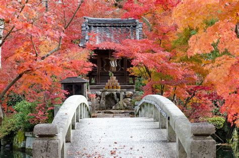 Autumn In Japan Autumn Colors In Kyoto Japan Japan Travel Japan