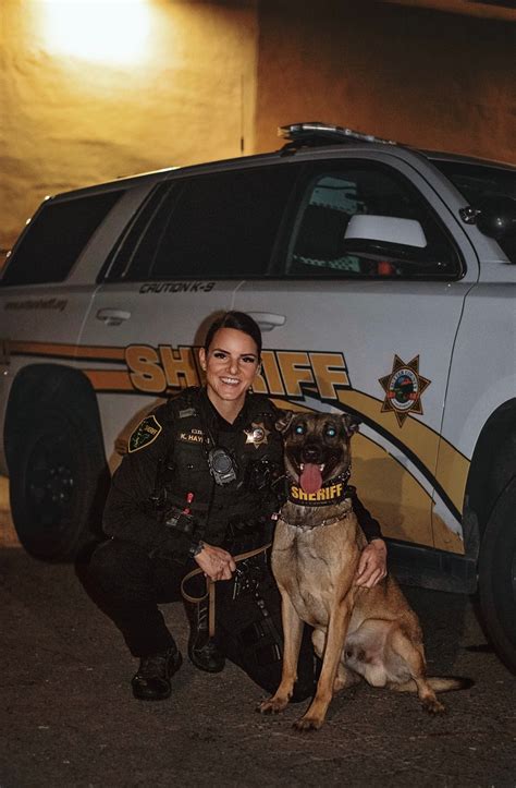 Canine K 9 Unit Sutter County Sheriff Ca