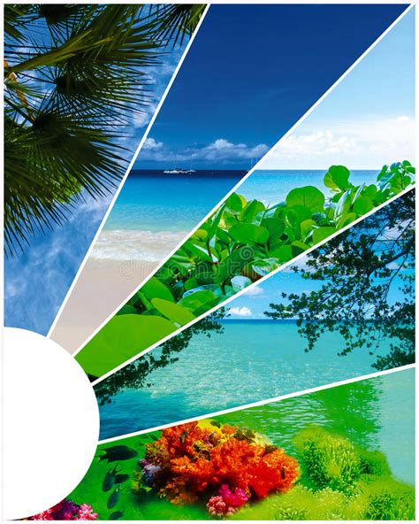 Collage Of Summer Beach Images Nature And Travel Background Stock